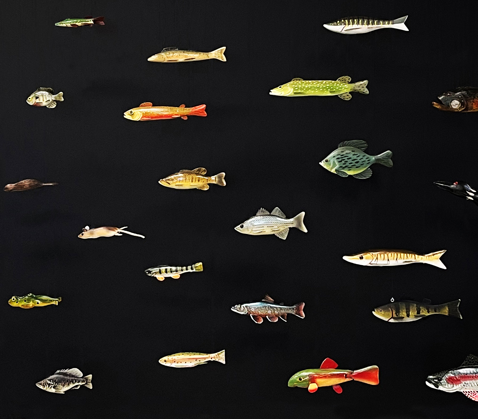 Fish decoys
