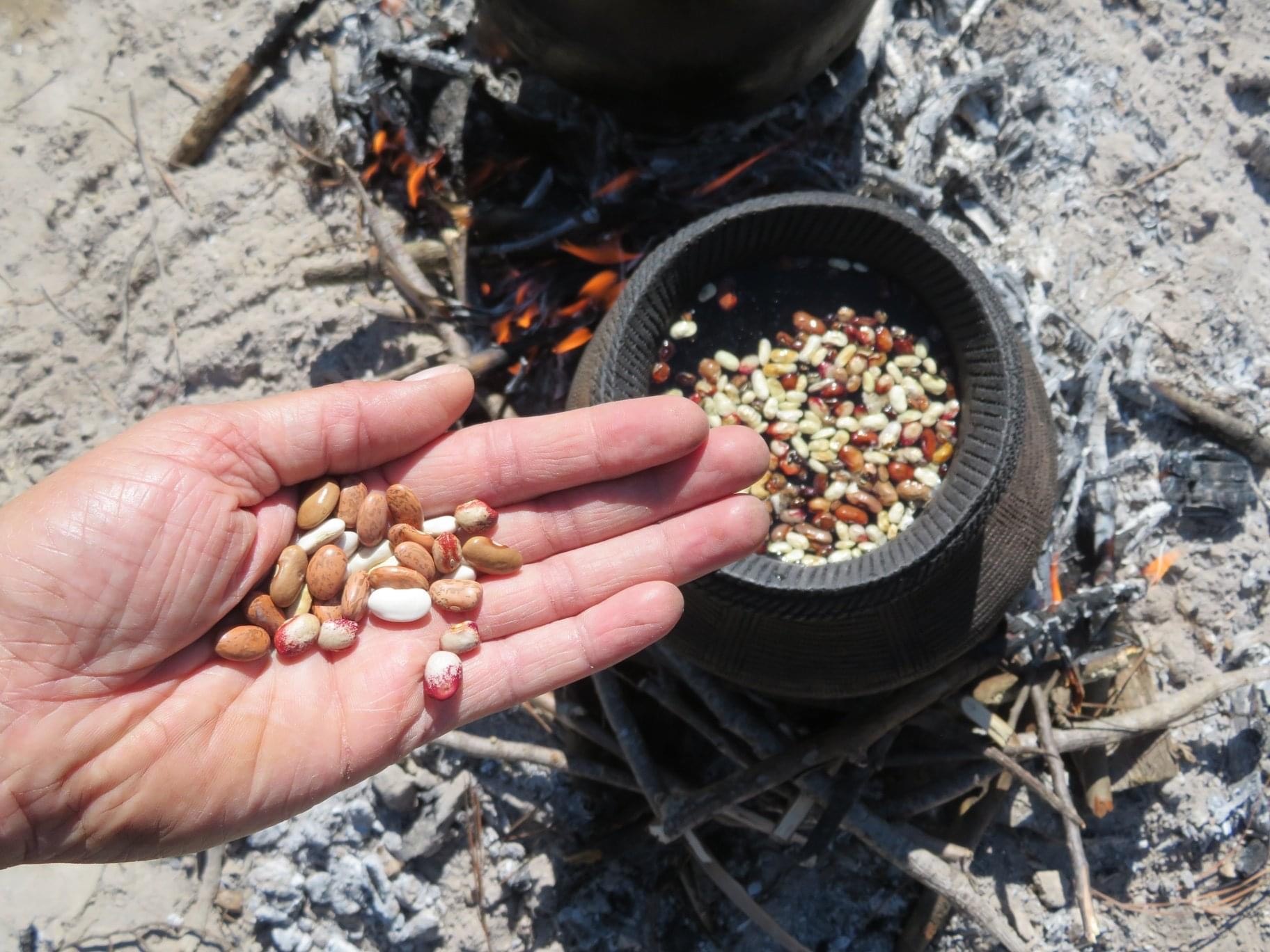 Image of beans in a hand-built Oneida pot over a firepit. 