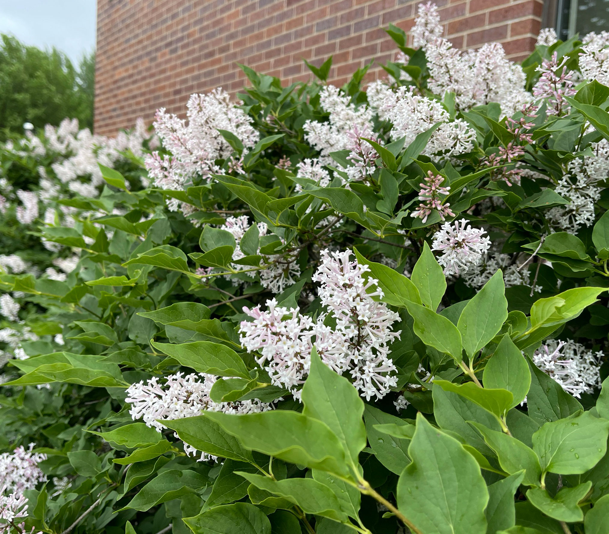 Outside the Oshkosh Public Museum